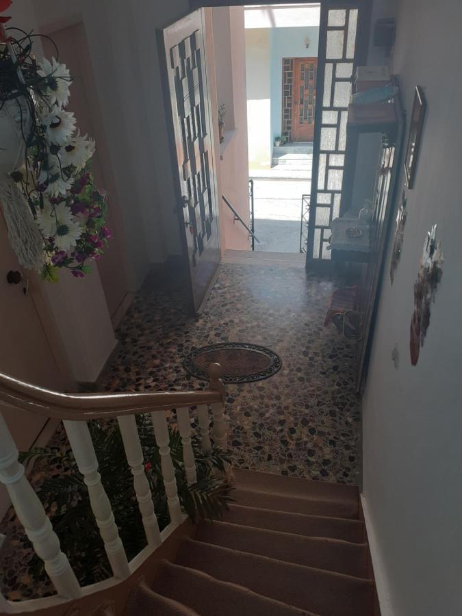 Thalia'S Garden Hotel Mytilene Exterior photo
